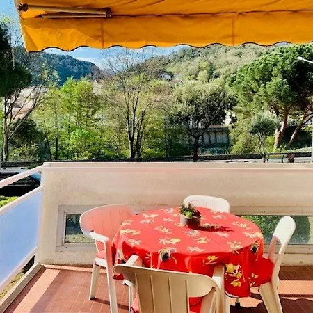 Apartamento F2 Avec Terrasse, Parking, Et Wifi - à 600m Des Thermes D'amélie-les-bains - Fr-1-703-129 Amélie-les-Bains-Palalda