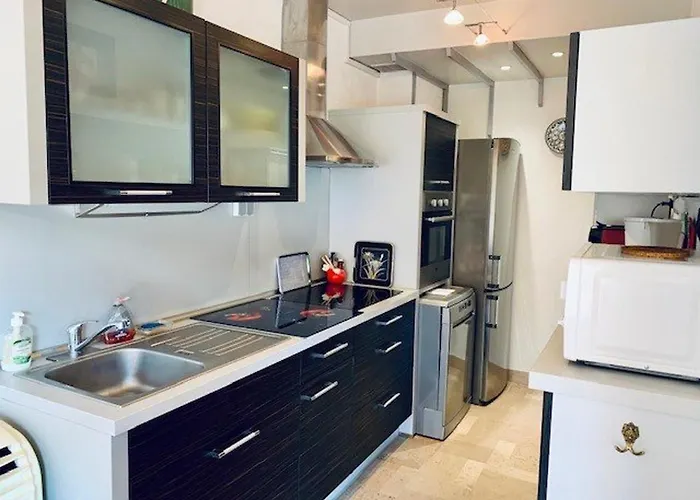 F2 Avec Terrasse, Parking, Et Wifi - A 600m Des Thermes D'amelie-les-bains - Fr-1-703-129 Lägenhet *